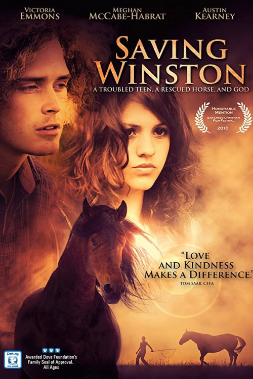 Saving Winston (2011) poster