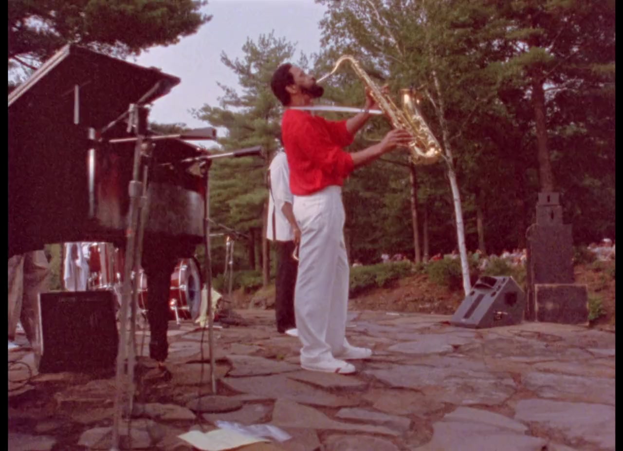 Saxophone Colossus screenshot 2