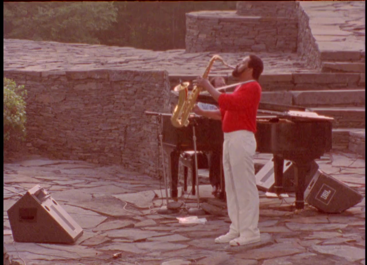 Saxophone Colossus screenshot 3