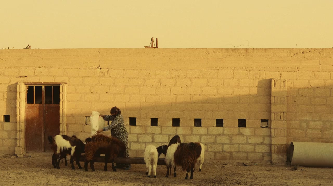 Sabaya screenshot 1