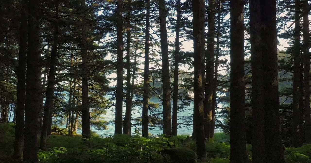 Sacred Alaska screenshot 1