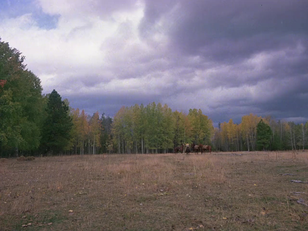 Sacred Ground screenshot 3