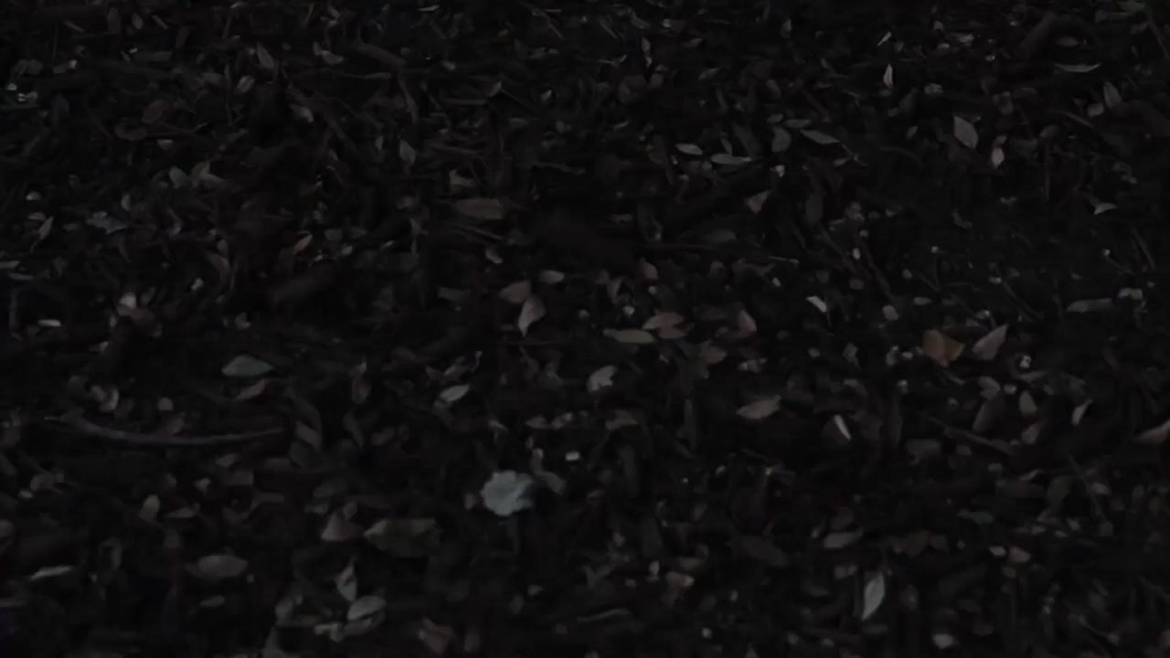 The Chosen One screenshot 3