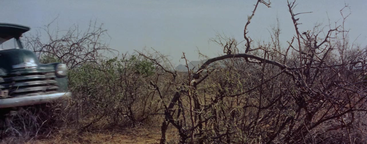 Safari screenshot 2