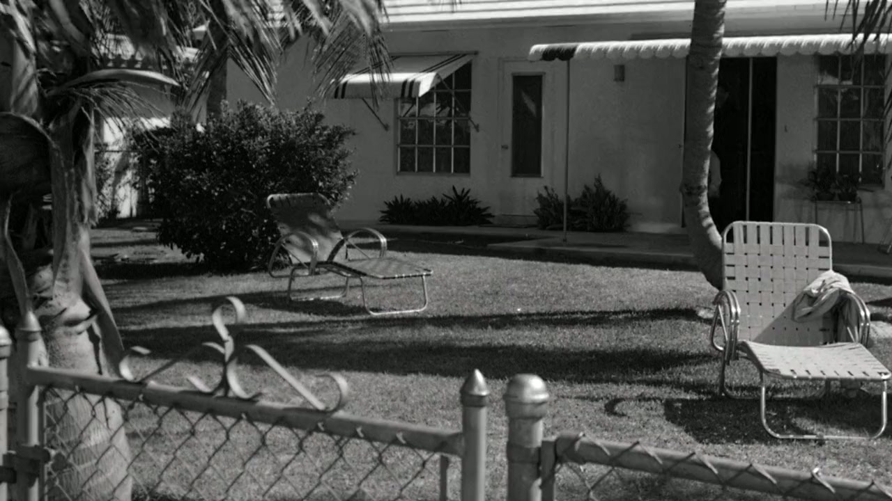 Safe at Home! screenshot 1