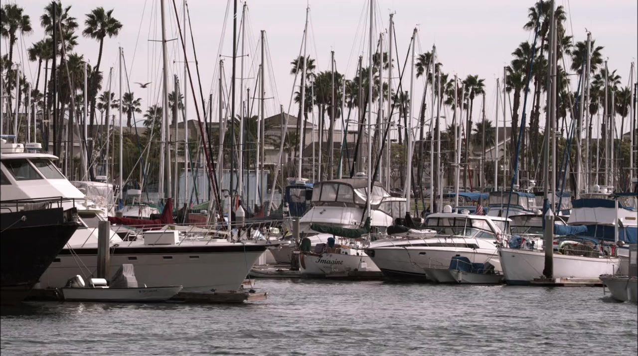 Safe Harbor screenshot 1