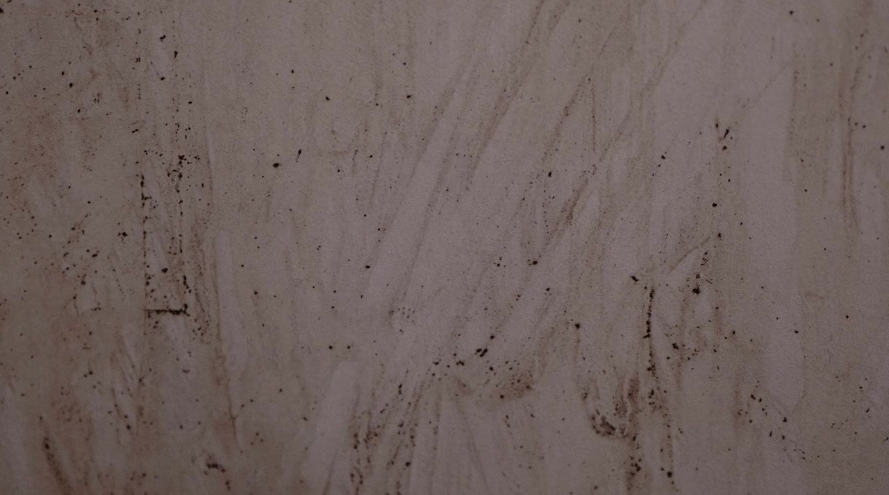 Saint Cecilia of Spiralence screenshot 3