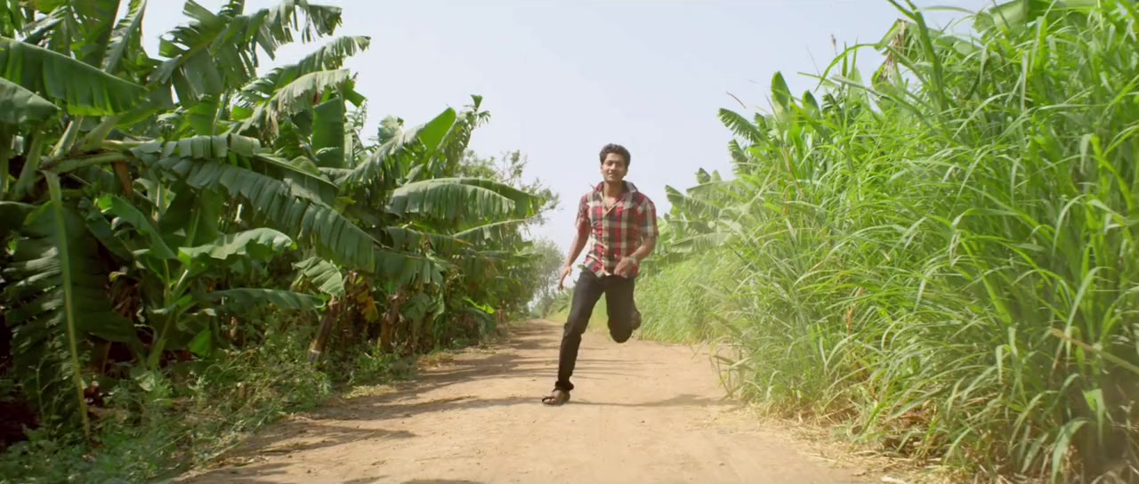 Sairat screenshot 3