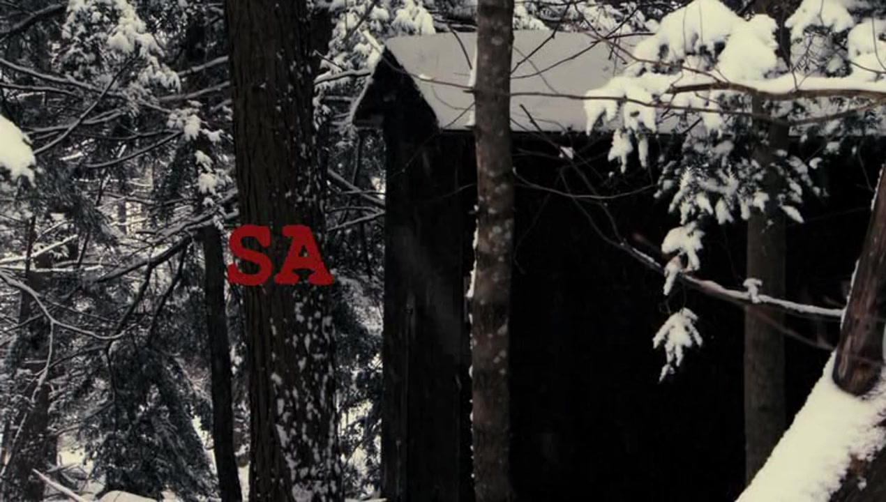 Salinger screenshot 2