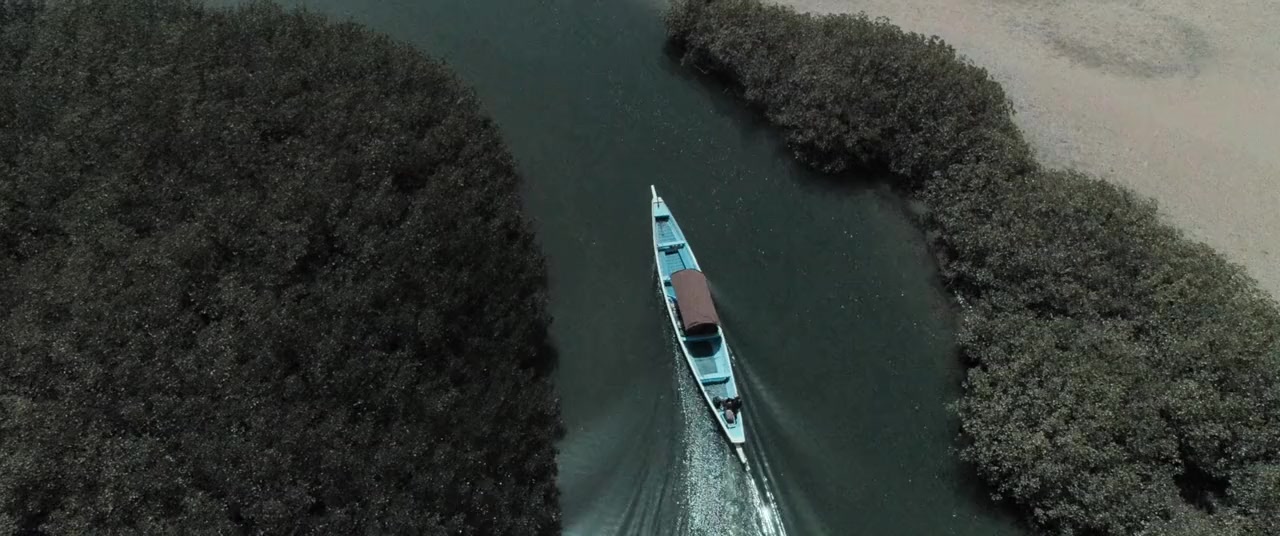 Saloum screenshot 3