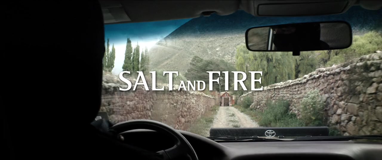Salt and Fire screenshot 2