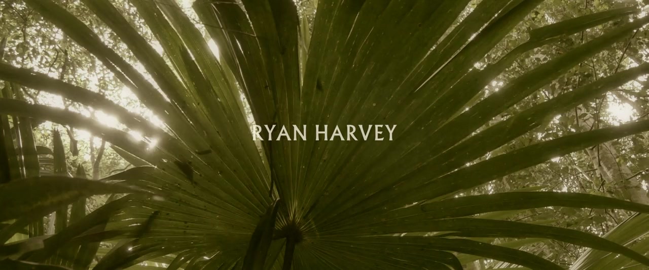 Saltwater: The Battle for Ramree Island screenshot 1