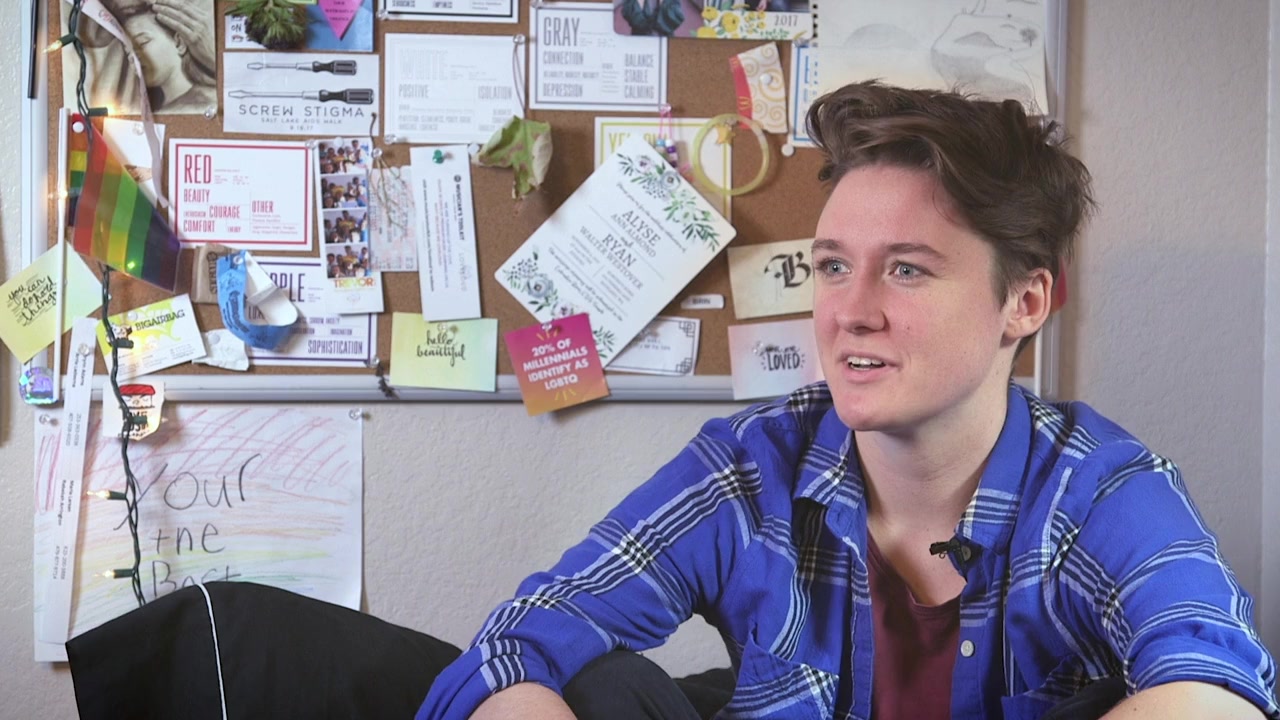 Same-Sex Attracted screenshot 1
