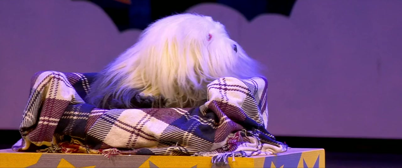 Samson en Gert Kerstshow 2013: Op reis naar het IJspaleis screenshot 1