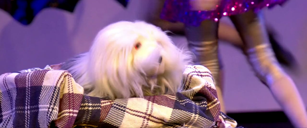 Samson en Gert Kerstshow 2013: Op reis naar het IJspaleis screenshot 2