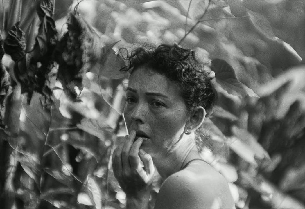 Samsara screenshot 3