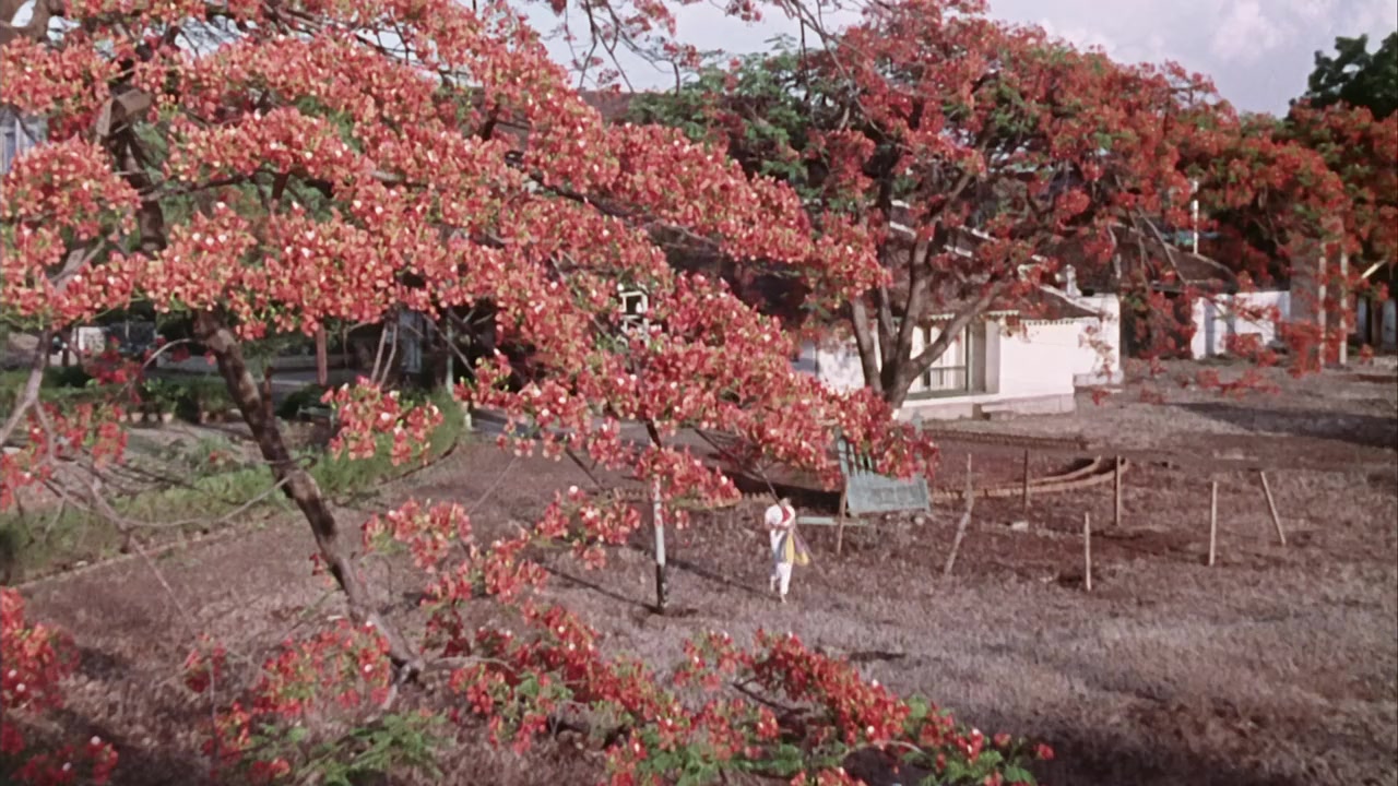 Sangam screenshot 1