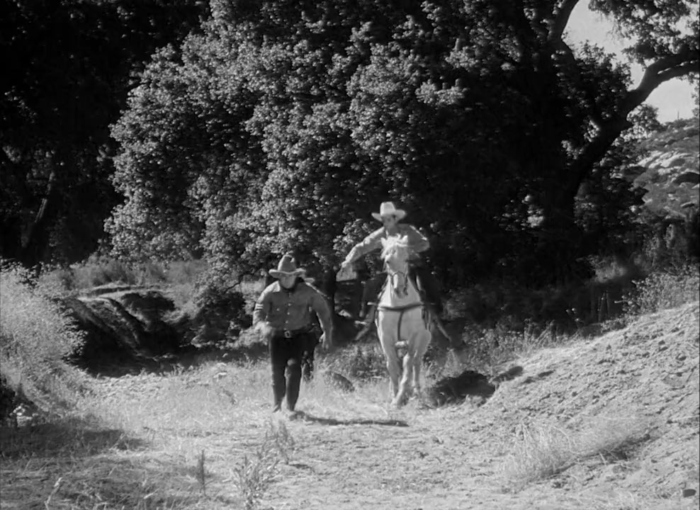 Santa Fe Stampede screenshot 1