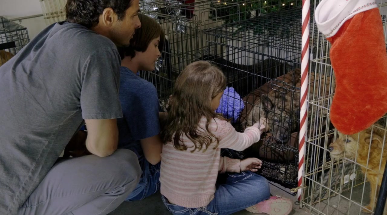 Santa Stole Our Dog: A Merry Doggone Christmas! screenshot 2