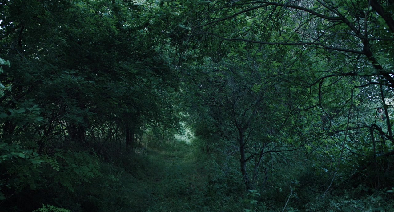 Saptamana Mare screenshot 1