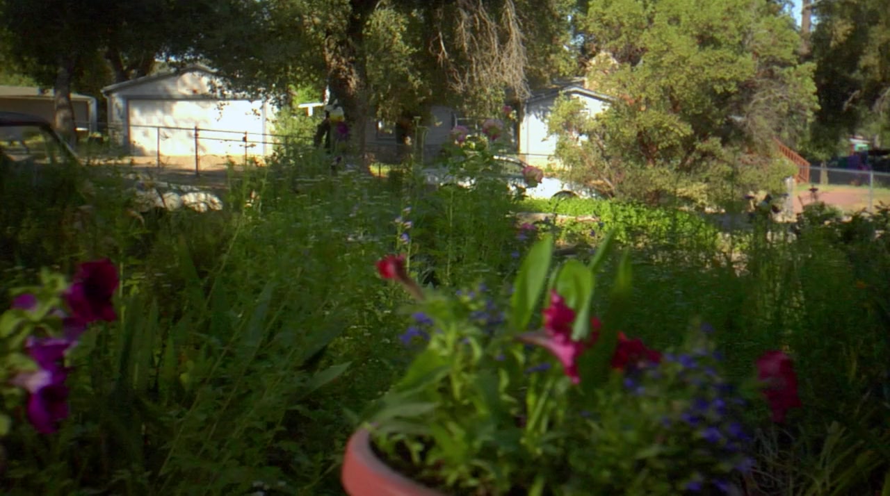 Sarah Landon and the Paranormal Hour screenshot 2
