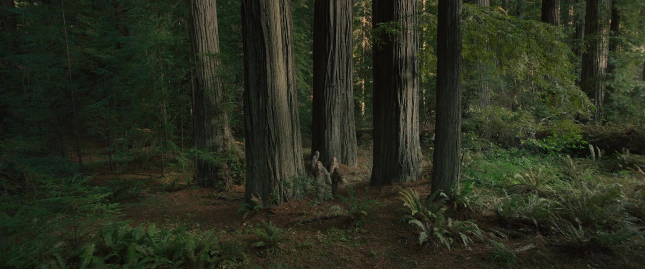 Sasquatch Sunset screenshot 2