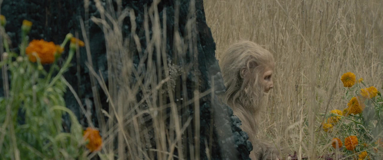 Sasquatch Sunset screenshot 3