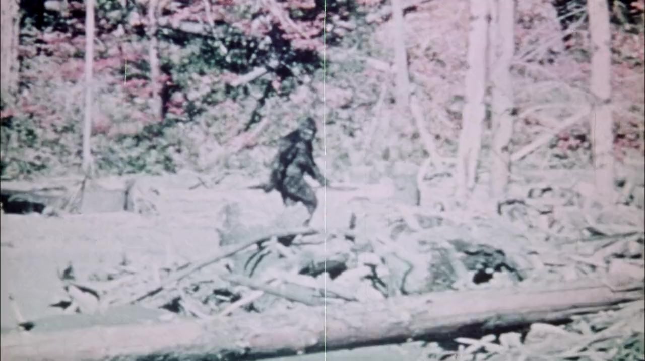 Sasquatch: The Legend of Bigfoot screenshot 3