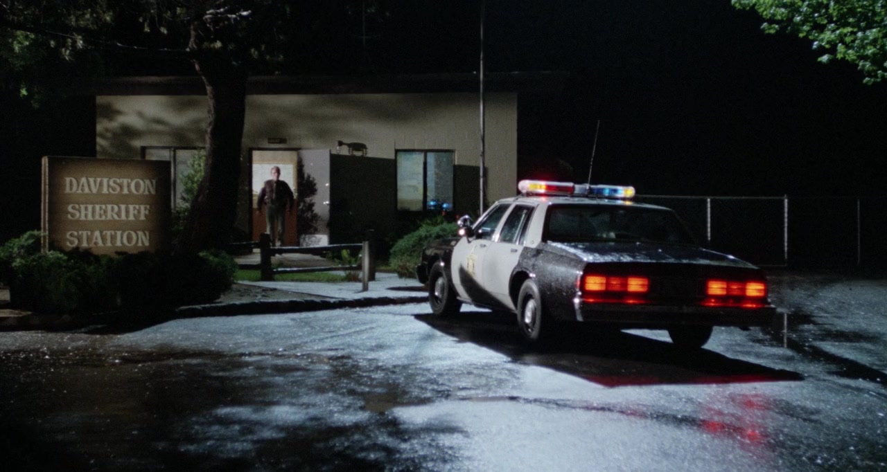 Scanner Cop II screenshot 1