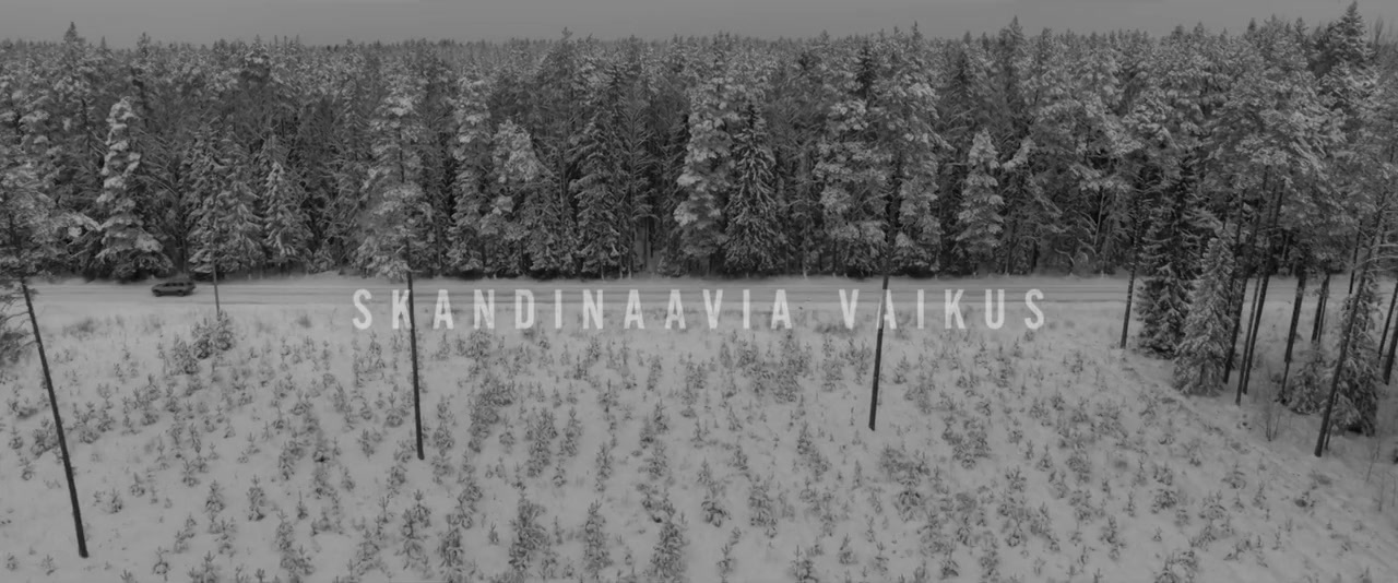 Skandinaavia vaikus screenshot 2