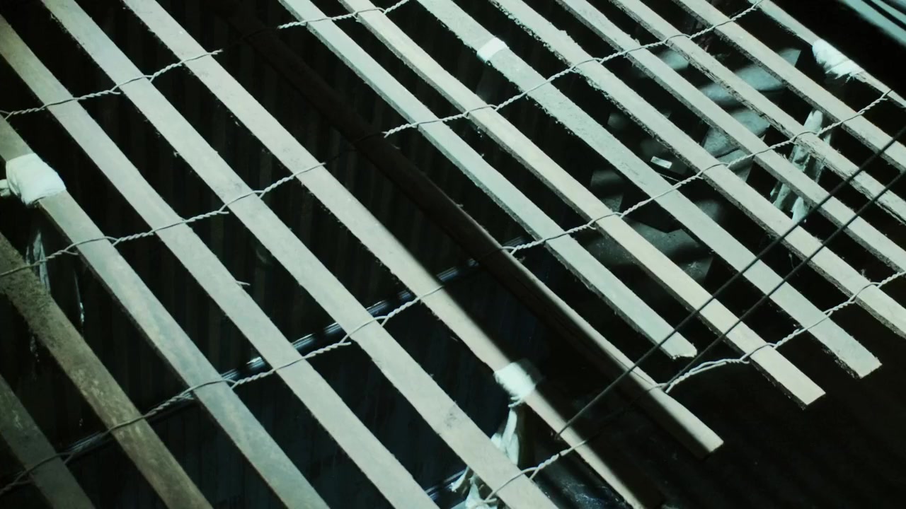 Scare Zone screenshot 2