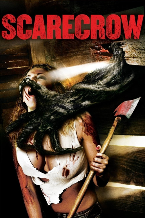 Scarecrow (2013) poster