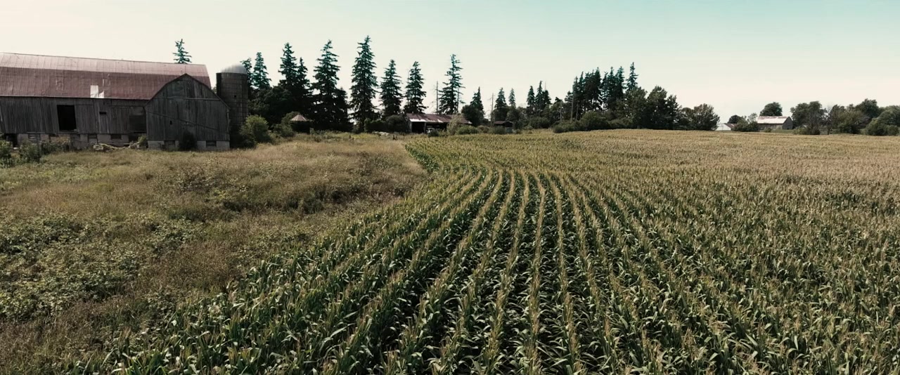 Scarecrows screenshot 1