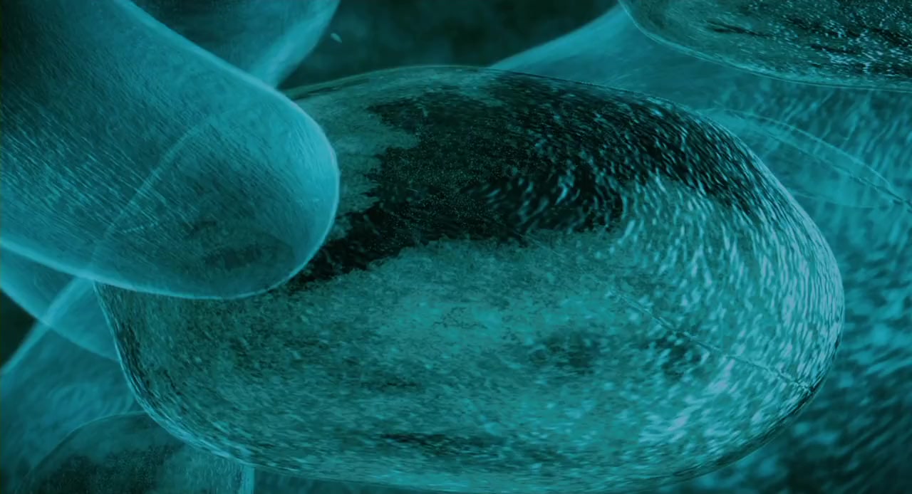 Scary Movie 4 screenshot 1