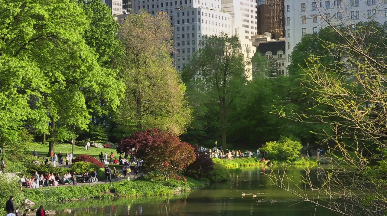 Scatter My Ashes at Bergdorf's screenshot 1