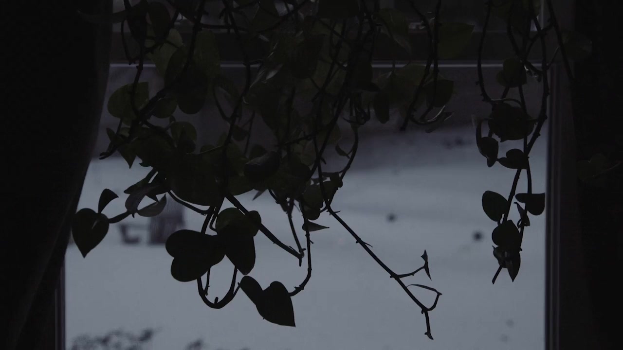 Scattering CJ screenshot 3