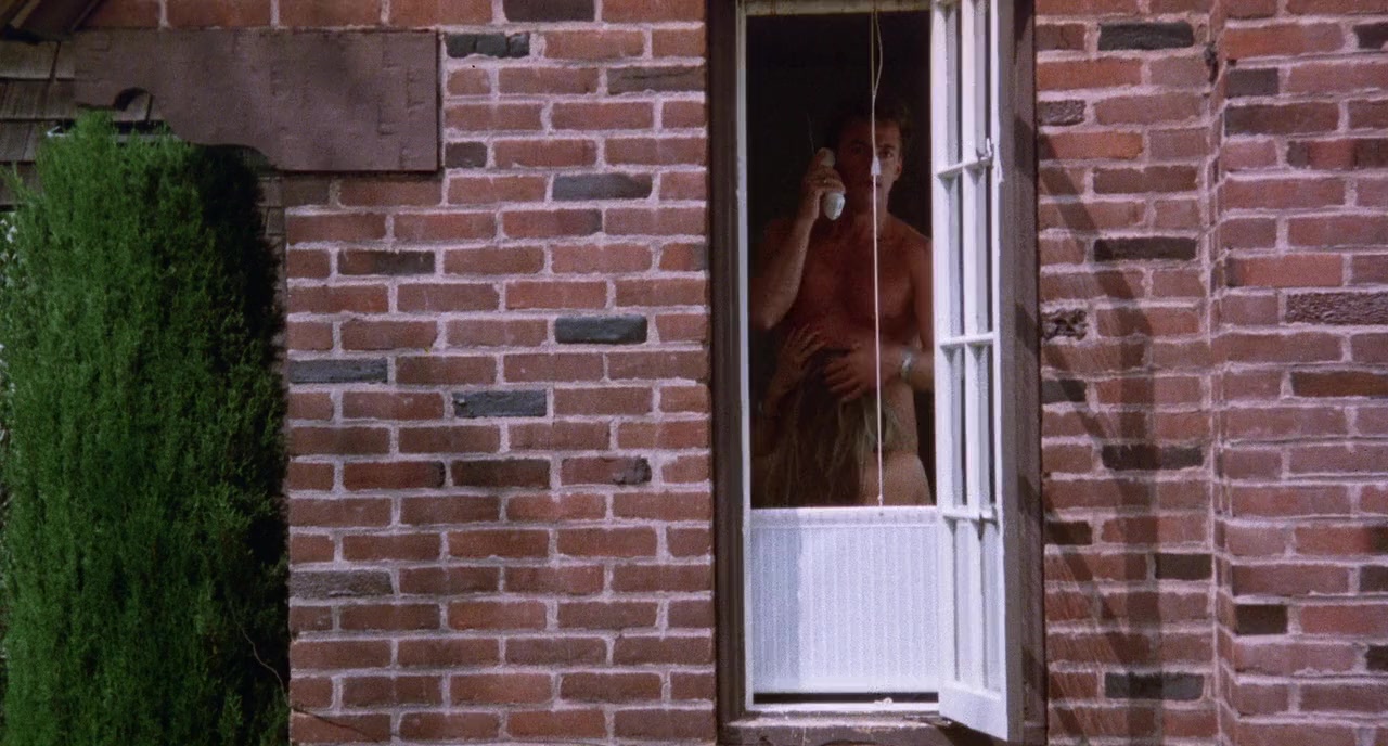 Scenes from the Class Struggle in Beverly Hills screenshot 1