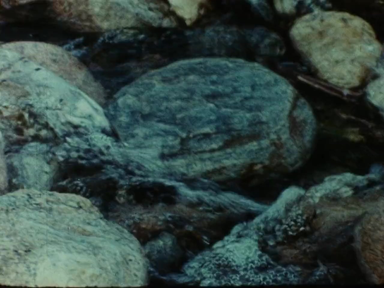 Scenes from the Life of Andy Warhol: Friendships and Intersections screenshot 2