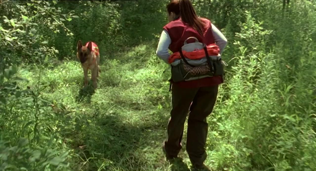 Scent of Danger screenshot 1