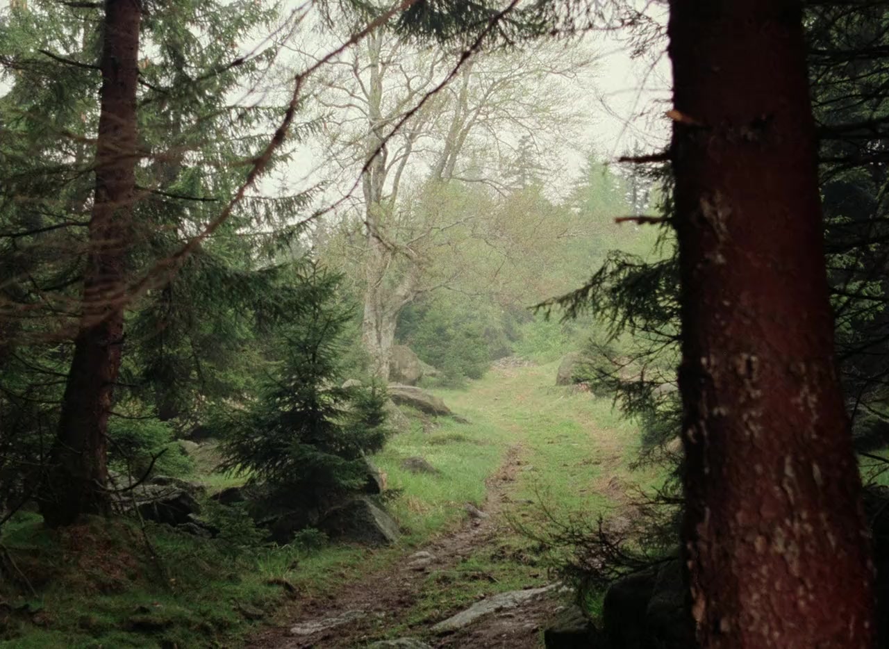Schneeweißchen und Rosenrot screenshot 1