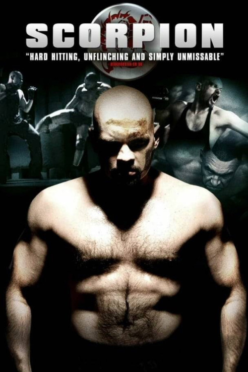 Scorpion (2007) poster