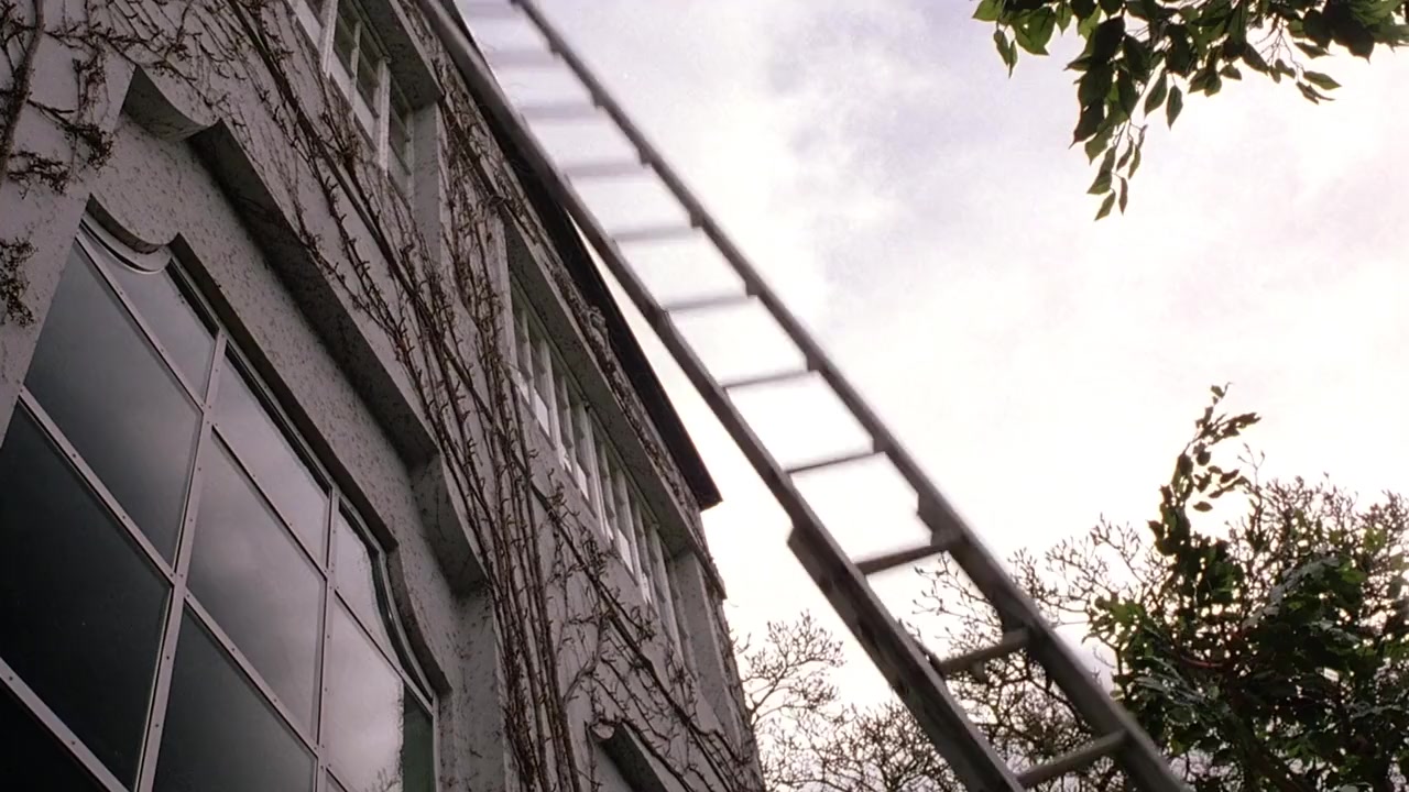Screwed screenshot 1