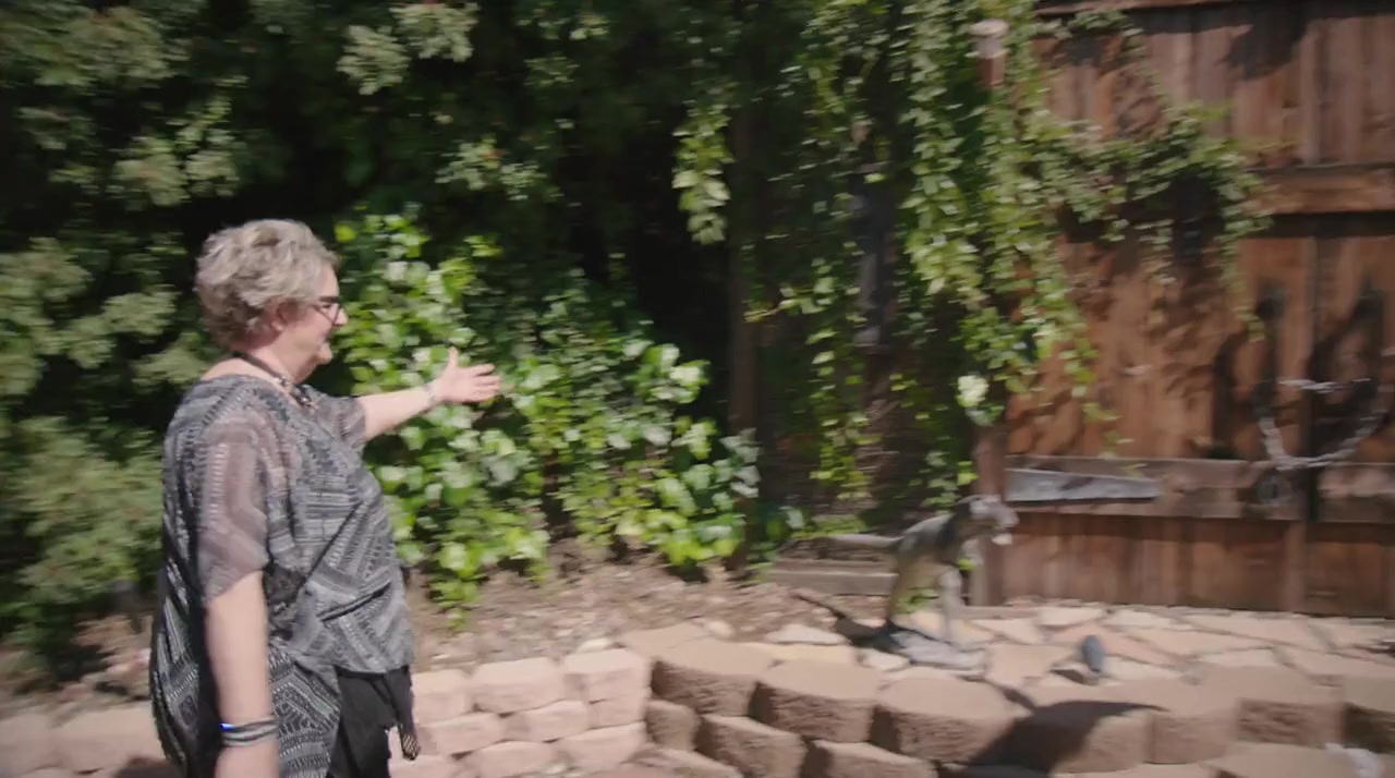 Set! screenshot 1