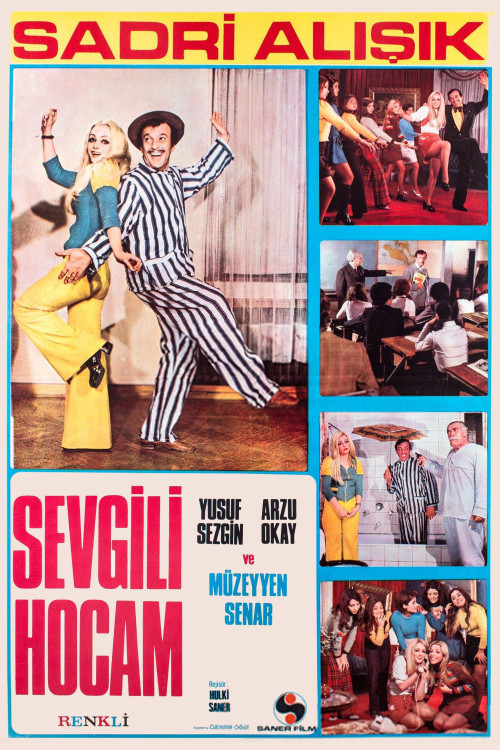 Sevgili Hocam (1973) poster