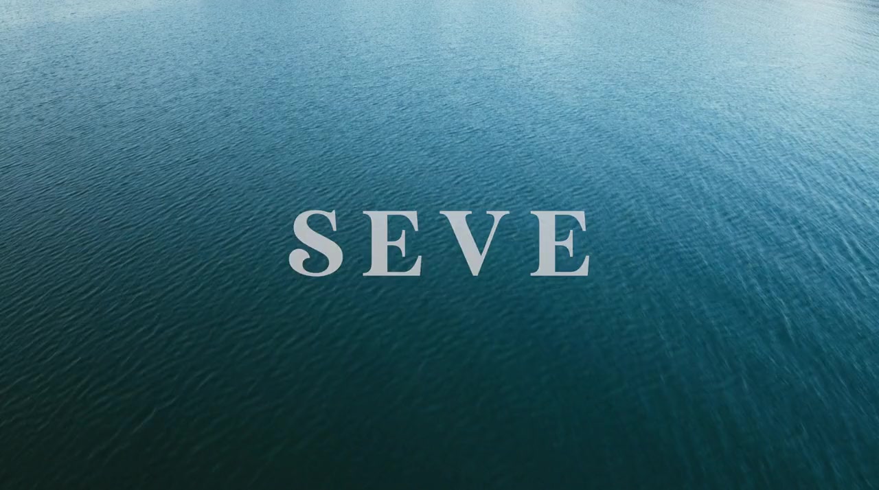 Seve screenshot 2