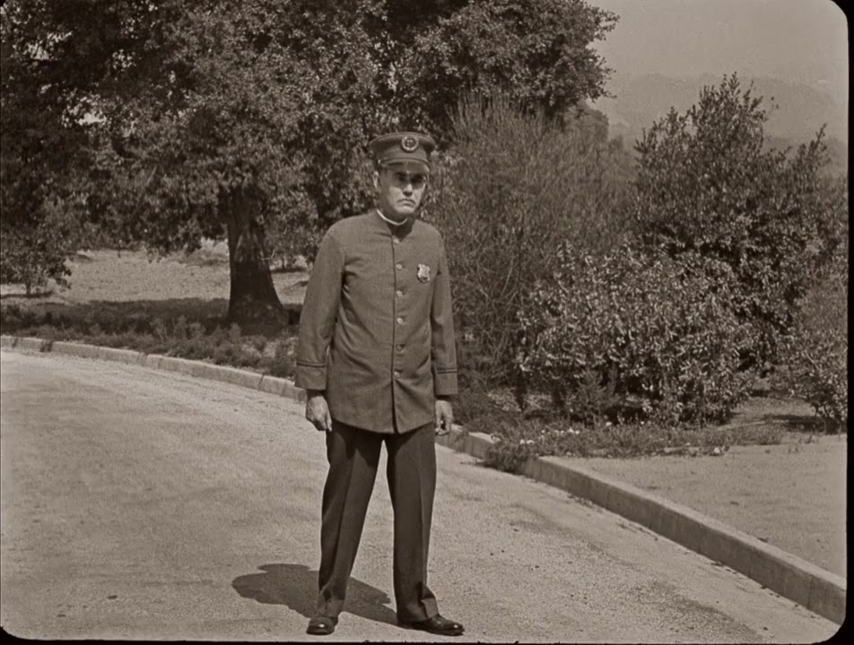 Seven Chances screenshot 2
