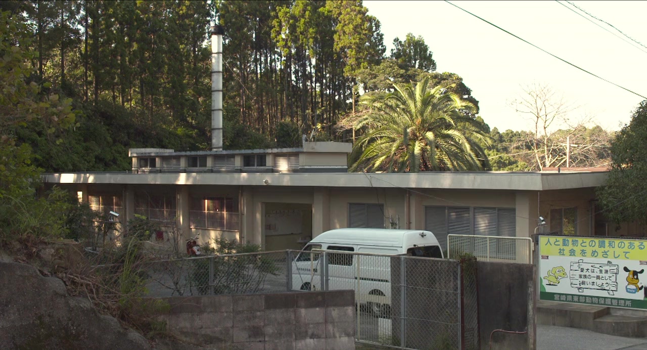 Himawari to koinu no 7-kakan screenshot 1