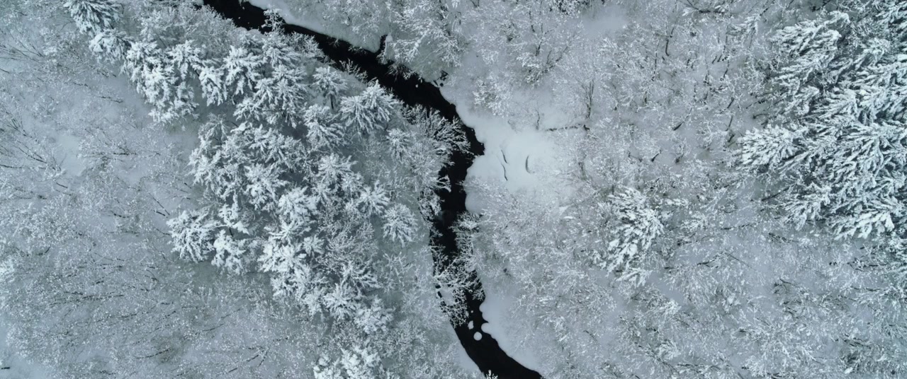 Seven Secretaries: The Movie screenshot 1