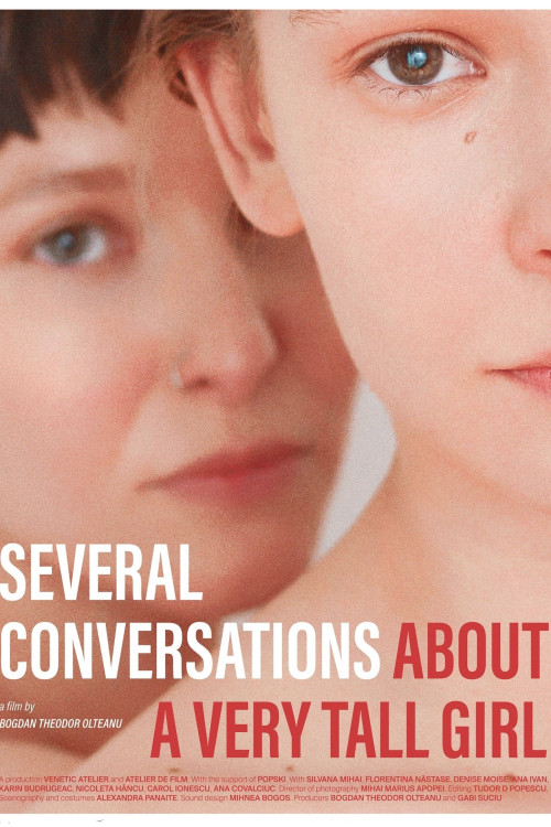 Cateva conversatii despre o fata foarte inalta (2018) poster