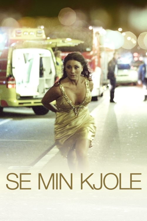Se min kjole (2009) poster